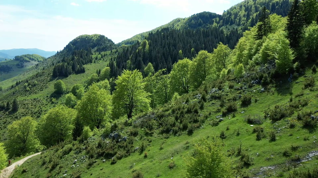 Cheile Dambovicioarei si imprejurimile - Sensolifestyle